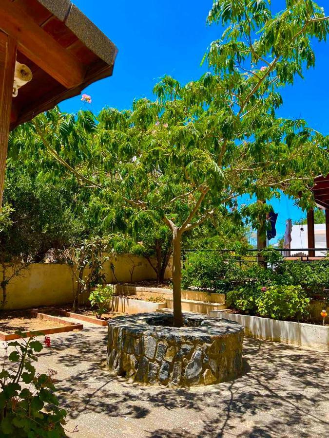 Cherrywood Creta Apartment Ierapetra  Exterior photo