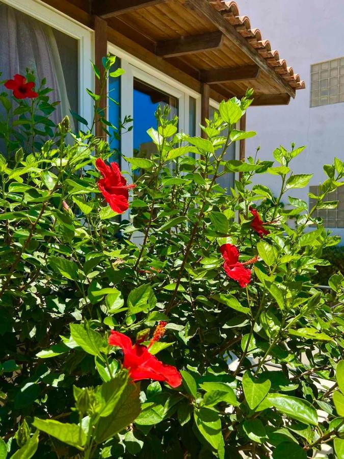 Cherrywood Creta Apartment Ierapetra  Exterior photo